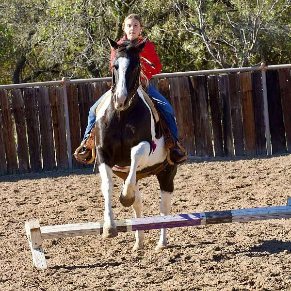 all-terrain-paint-pony