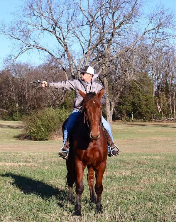 ranch-work-percheron-horse