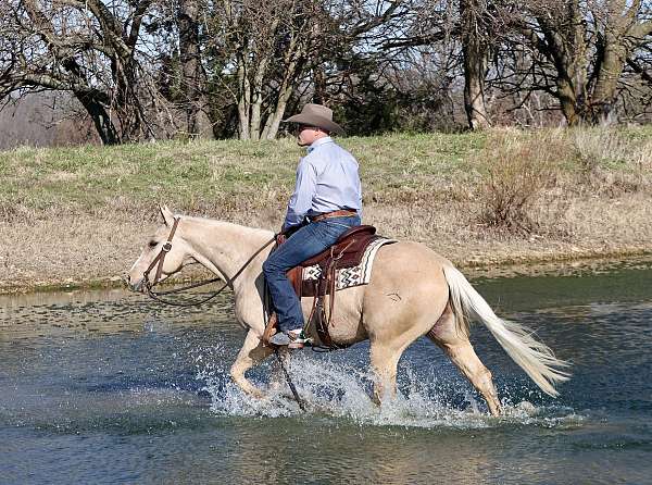 calf-roping-quarter-horse