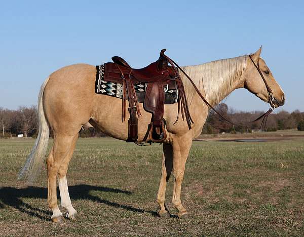 heel-quarter-horse