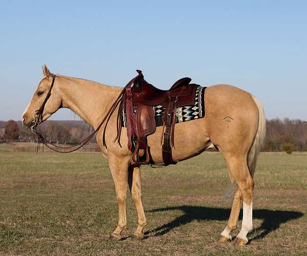 ranch-work-quarter-horse