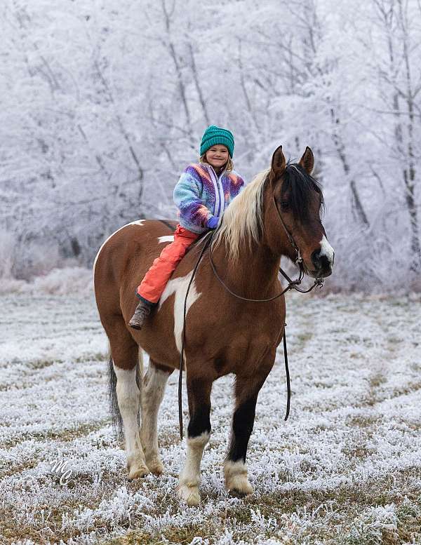 ranch-work-draft-horse