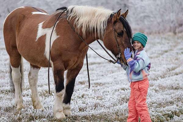 roping-draft-horse