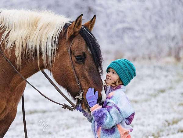 trail-riding-draft-horse