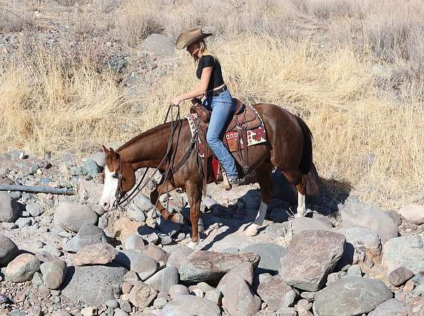 roping-quarter-horse