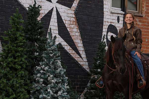 show-friesian-pony