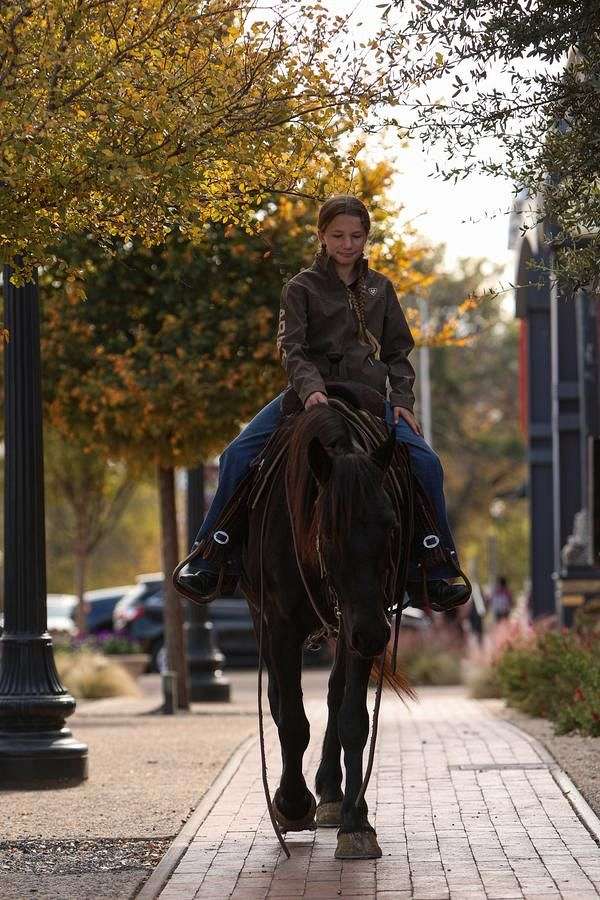 trail-riding-friesian-pony