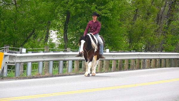 ranch-versatility-draft-horse