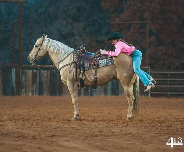 calf-roping-quarter-horse