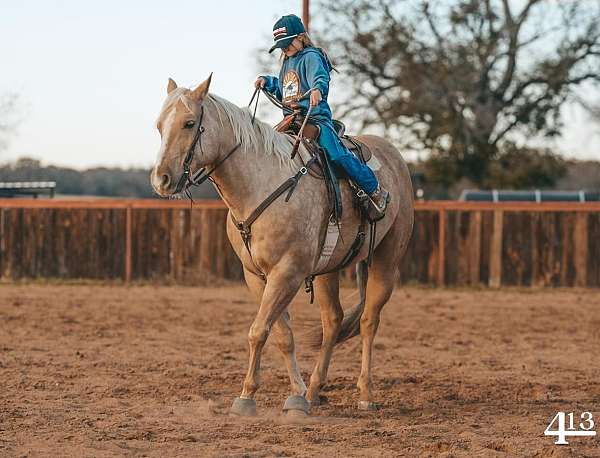 flashy-quarter-horse