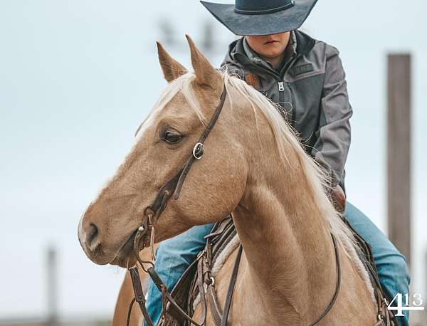 roping-quarter-horse