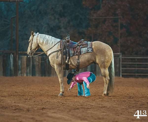 western-riding-quarter-horse