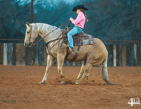 working-cattle-quarter-horse