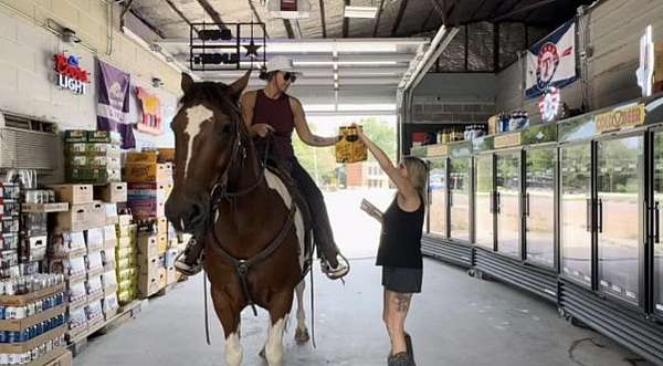 draft-horse