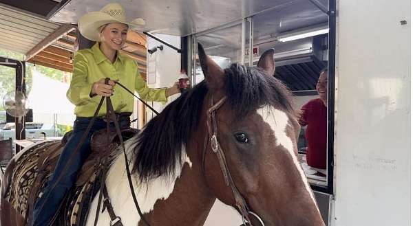 kid-safe-draft-horse