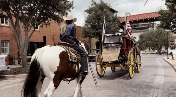 ranch-work-draft-horse