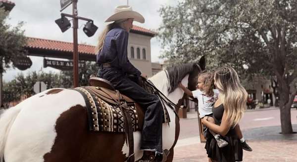 trail-riding-draft-horse