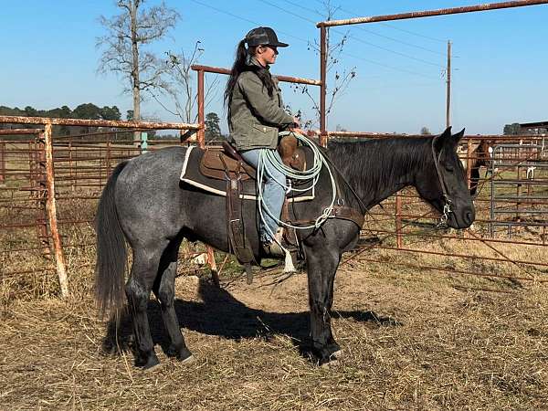 trail-riding-quarter-horse