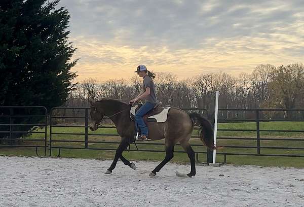 husband-safe-draft-horse