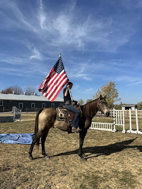 jumping-draft-horse