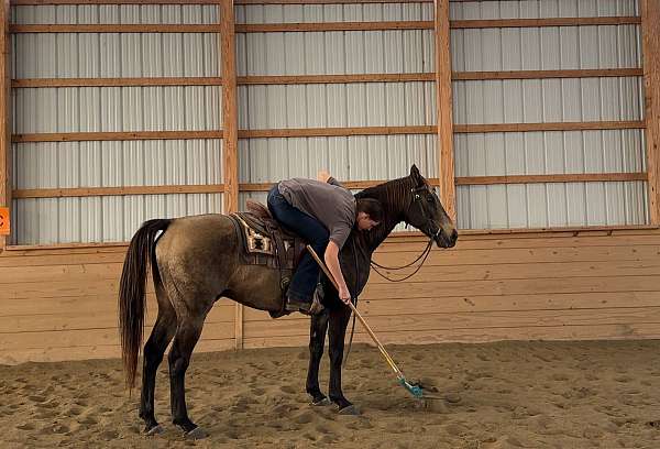 kid-safe-draft-horse