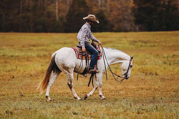 calf-roping-quarter-pony