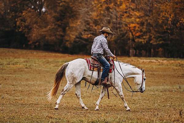 husband-safe-quarter-pony