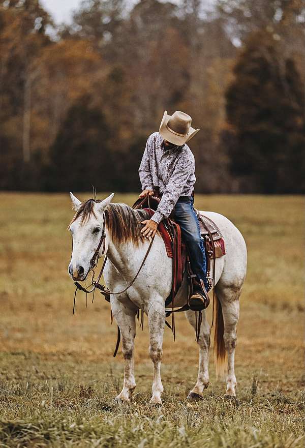 ranch-work-quarter-pony