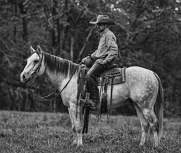 roping-quarter-pony