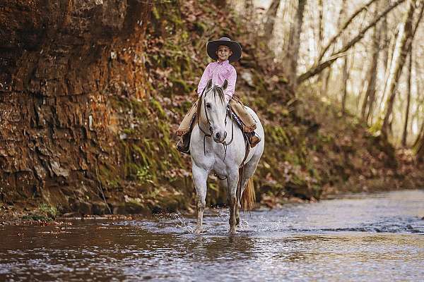 western-dressage-quarter-pony