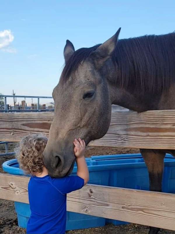 cowboy-mounted-shooting-quarter-pony