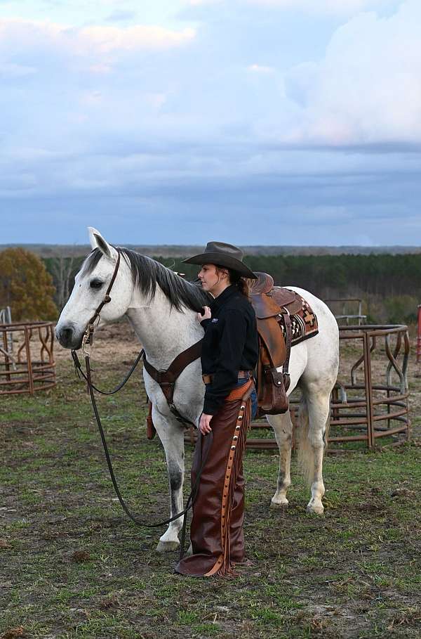 roping-quarter-horse