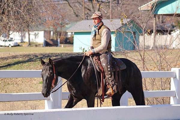 jumping-quarter-horse