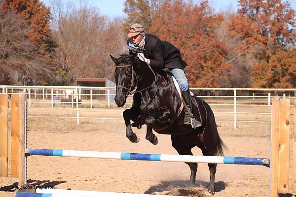 trail-riding-quarter-horse