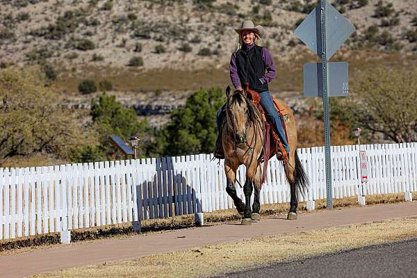 ranch-work-quarter-horse