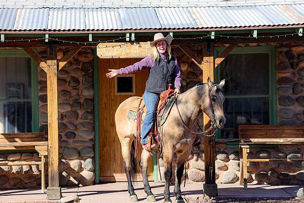 reining-quarter-horse