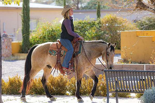 roping-quarter-horse