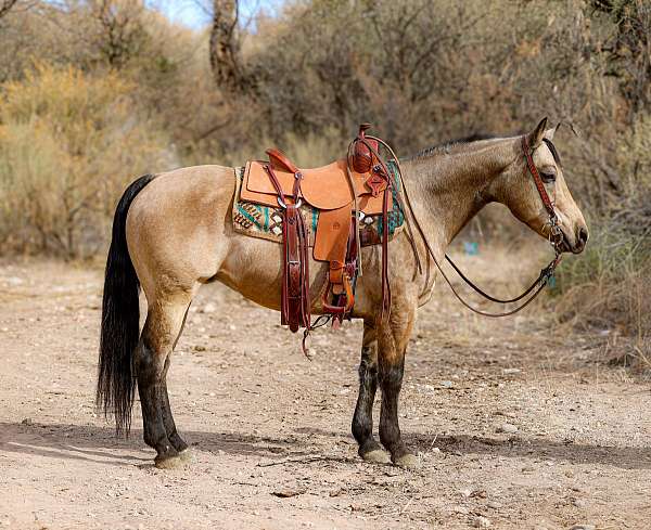 trail-riding-quarter-horse