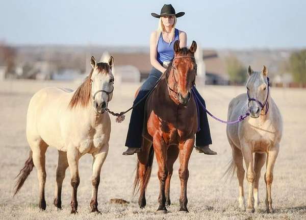 barrel-racing-quarter-horse