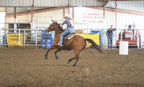 rodeo-queen-quarter-horse