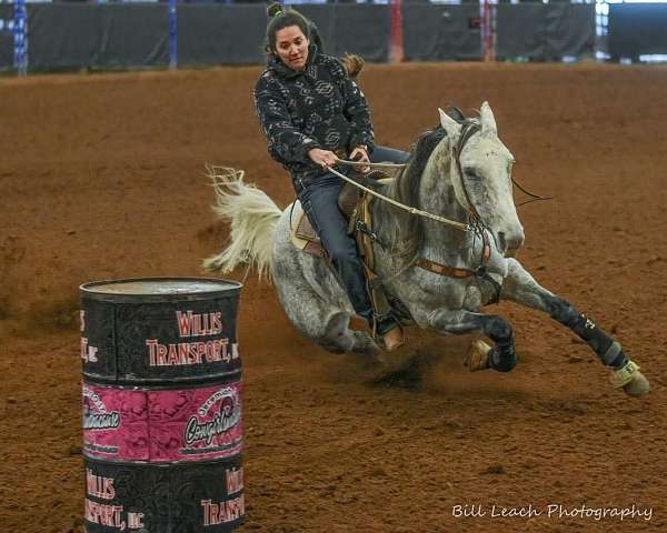 barrel-racing-quarter-pony