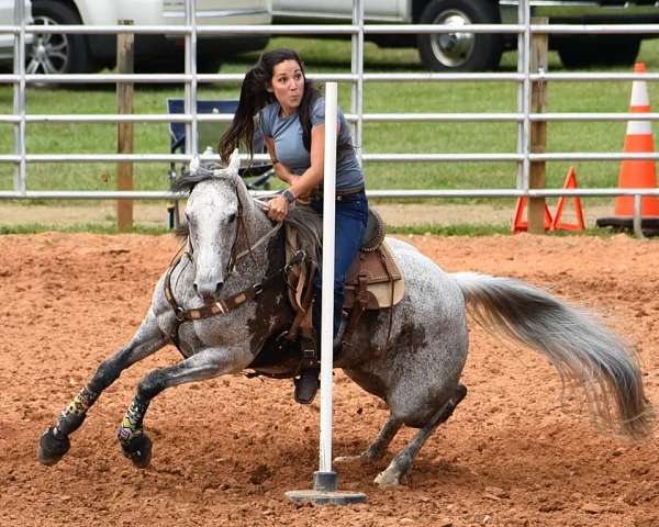 ridden-western-quarter-pony