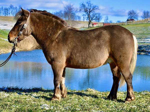 clean-legs-pony