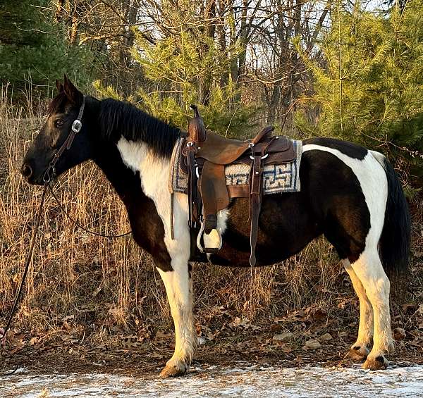 youth-draft-paint-horse