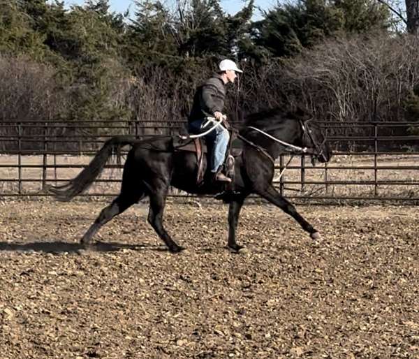 breeding-foundation-mare-foal