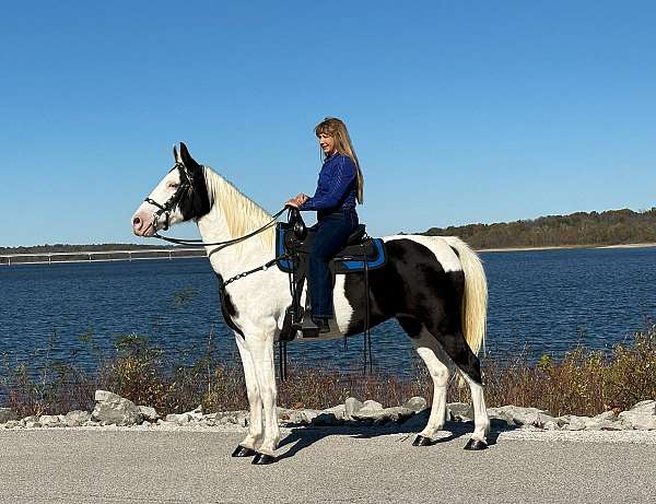 pinto-medicine-hat-paint-horse