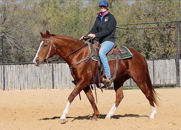 jumping-quarter-horse