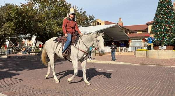 kid-safe-quarter-horse