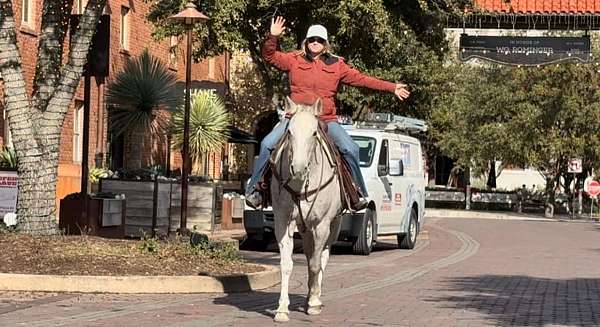 ranch-quarter-horse