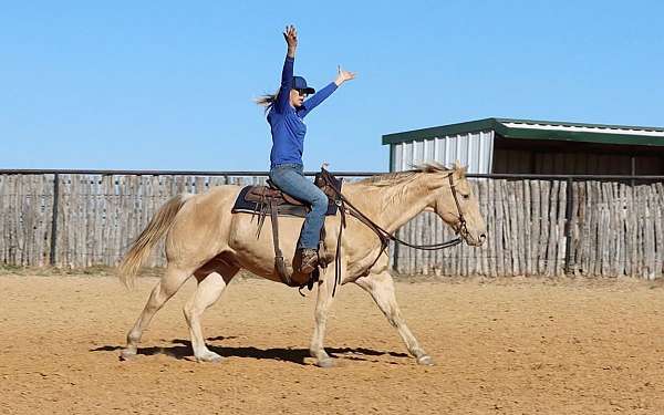 beginner-quarter-horse